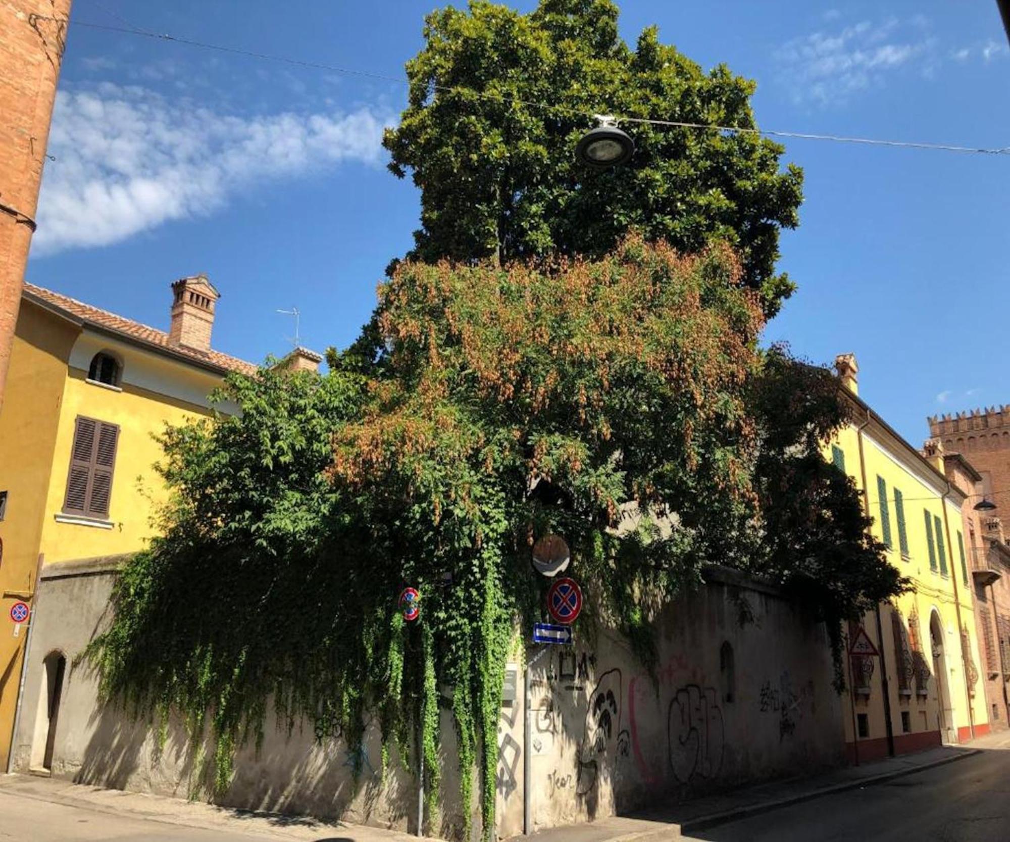 Il Giardino Segreto Lejlighed Ferrara Eksteriør billede